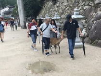 拡大
